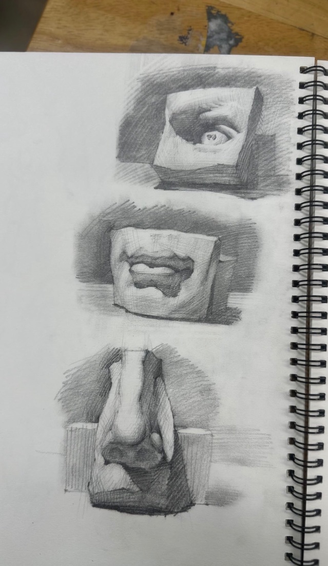 The practice sketch showing the intended form and shading