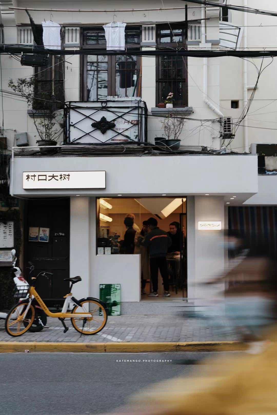 村口大树的店门与街边停放的自行车