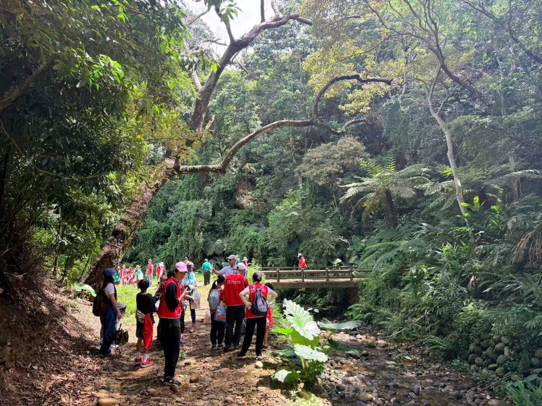Volunteers in red vests gathered on a forest trail beside a stream and a small wooden bridge in Pinglin, Taiwan