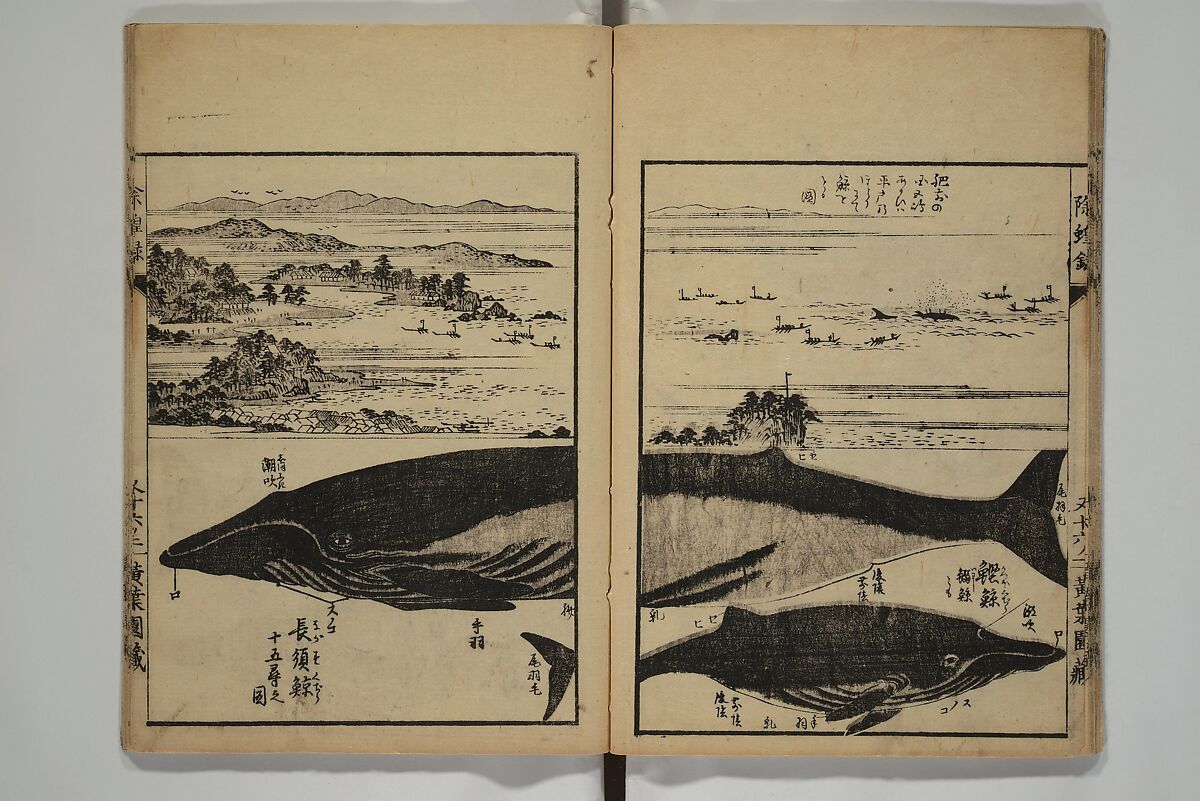 Open pages of a Japanese printed book: two large whales in black ink above and coastal whaling scenes below, with hand-lettered Japanese annotations.