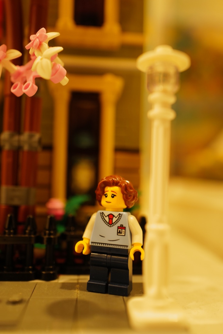 A moment from the LEGO party