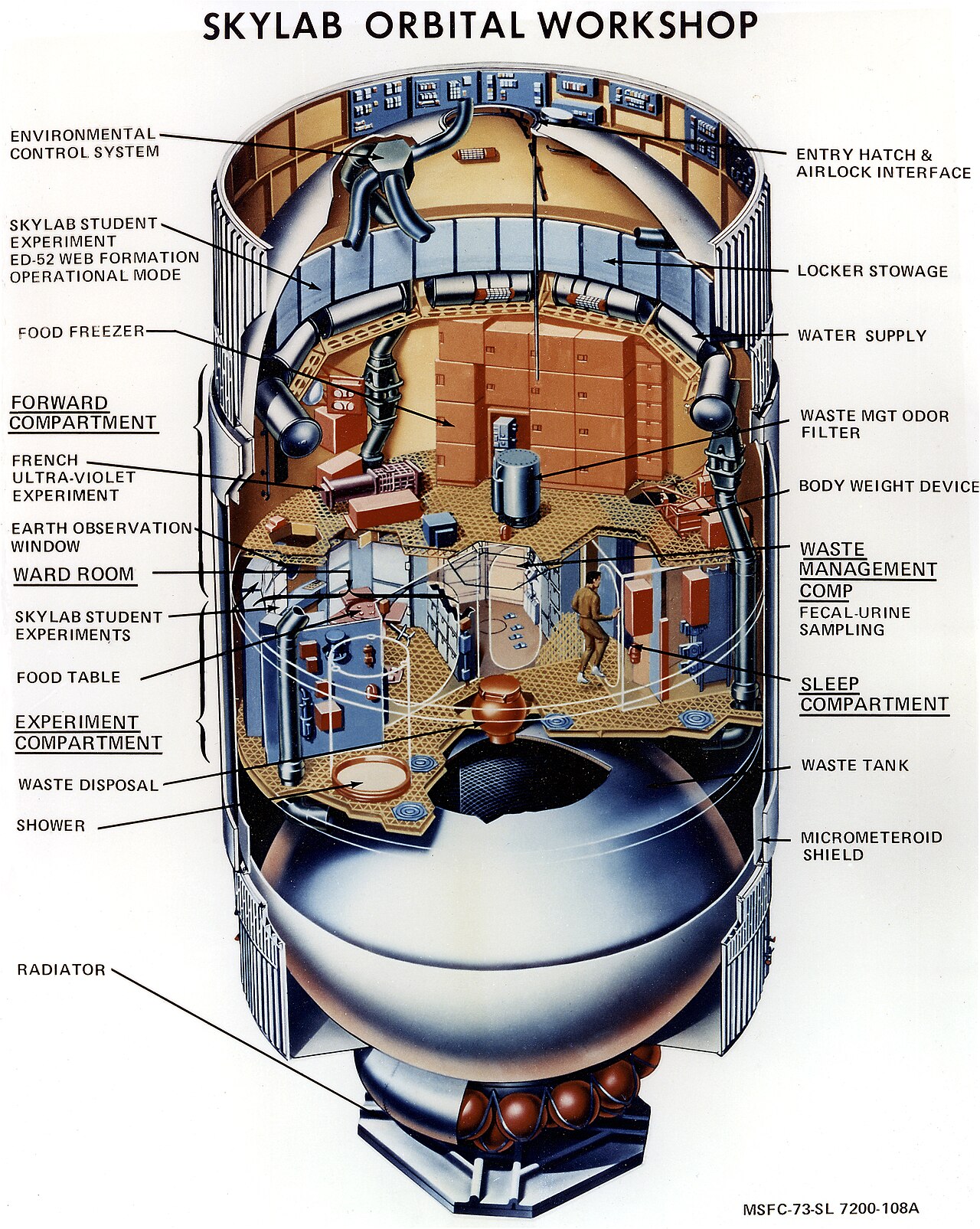 Colour cutaway painting of the Skylab Orbital Workshop interior, with labelled callouts.