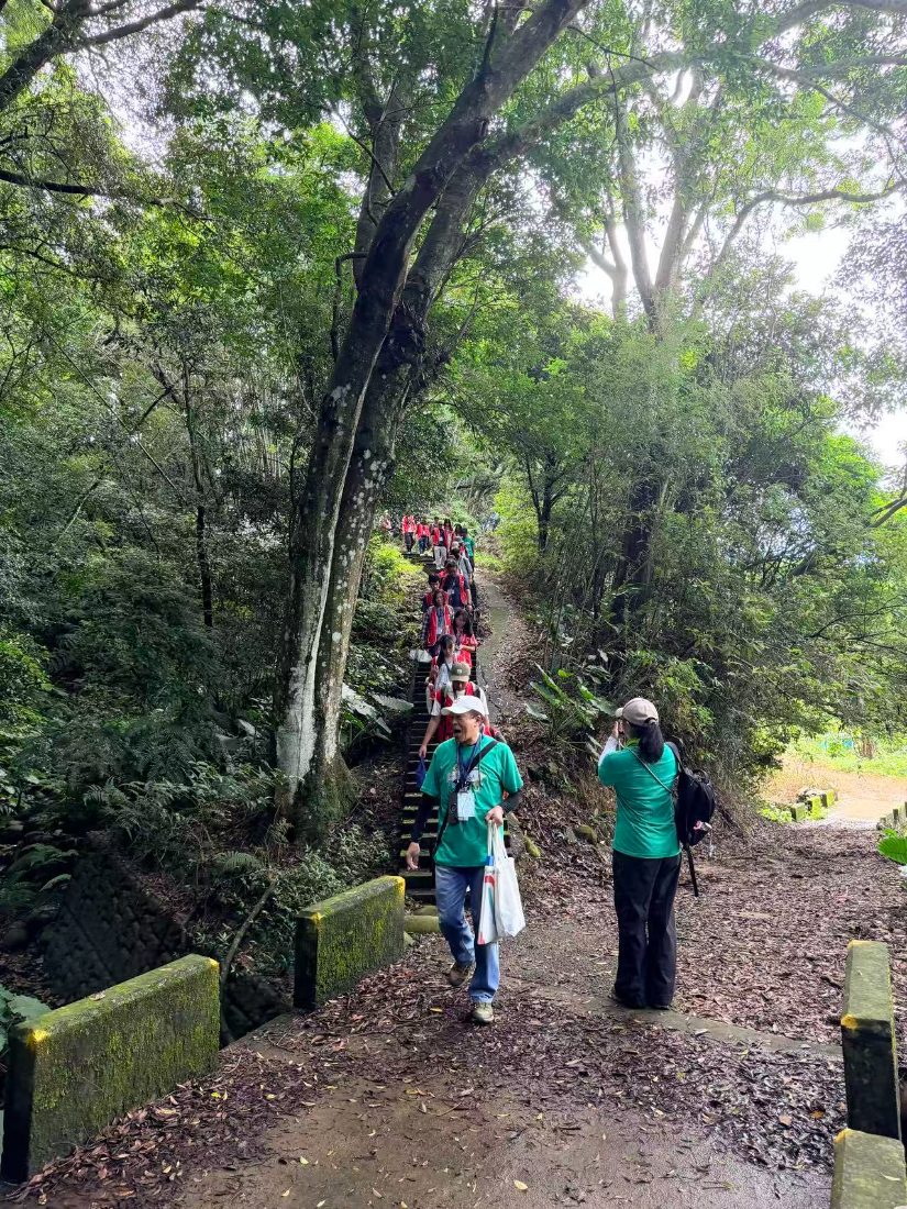 A long line of red-vested volunteers descending the forest stairway seen from a small bridge