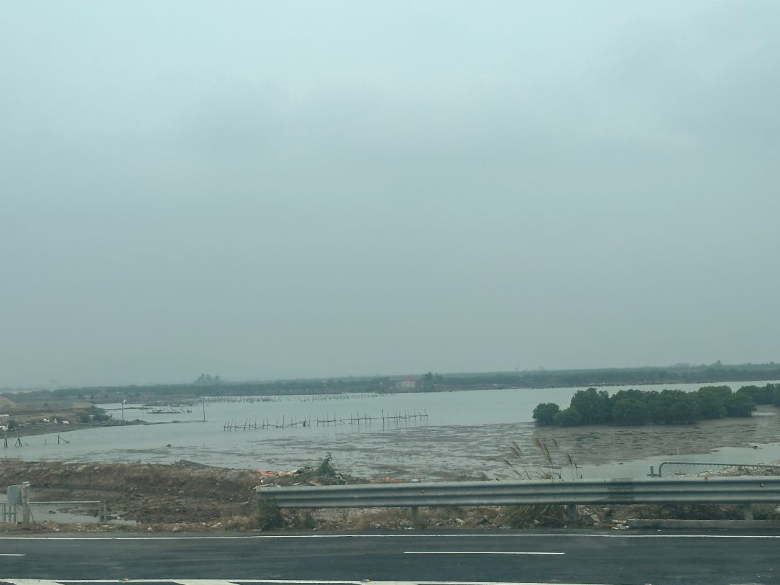 Fish-stake frames standing in exposed tidal flat, Quảng Ninh
