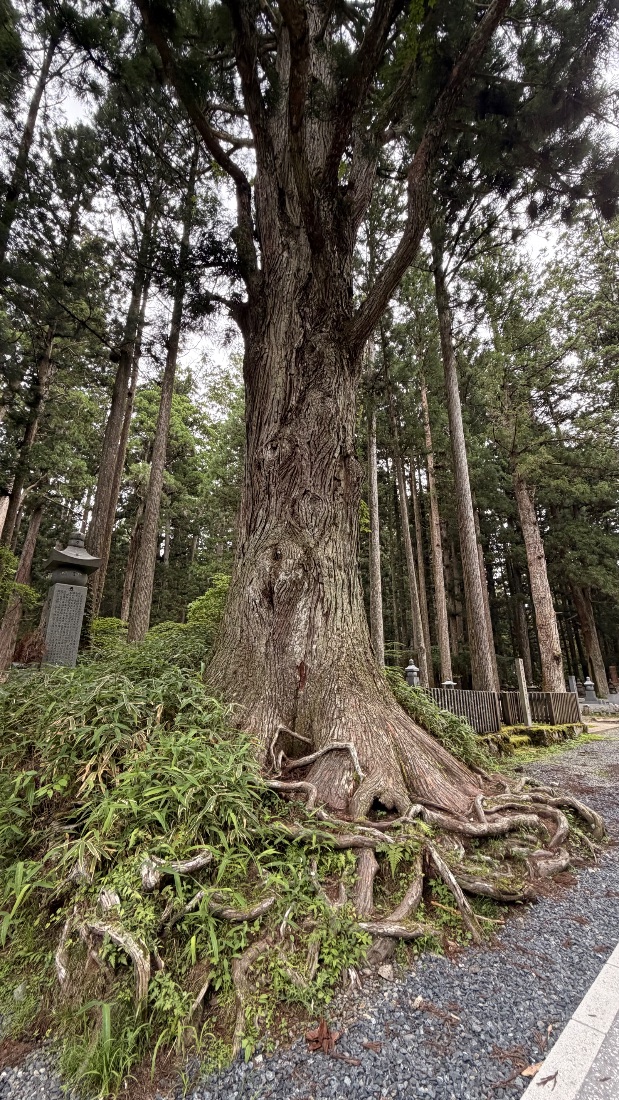 Koyasan grounds