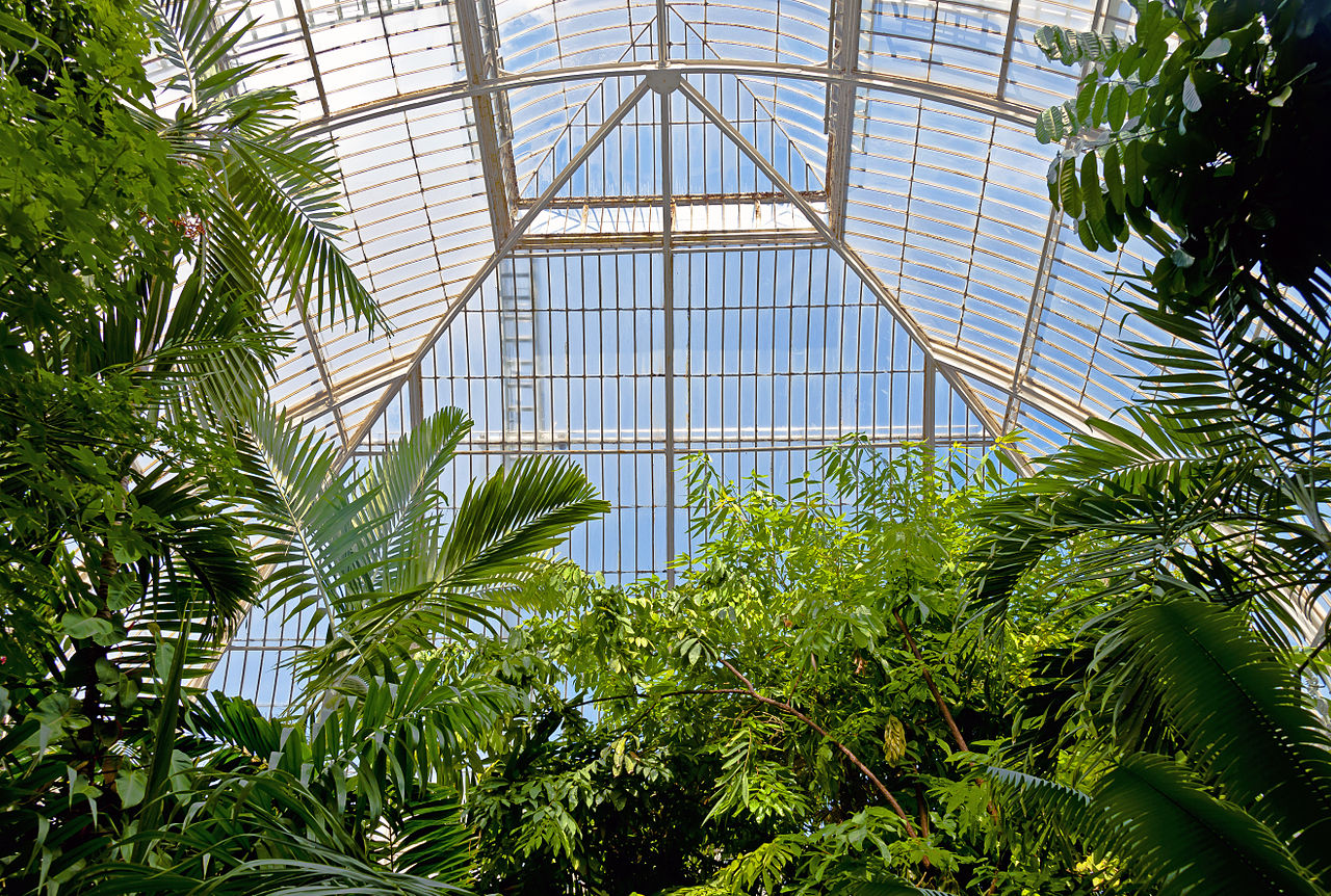 Interior view of the Palm House roof at Kew Gardens, London