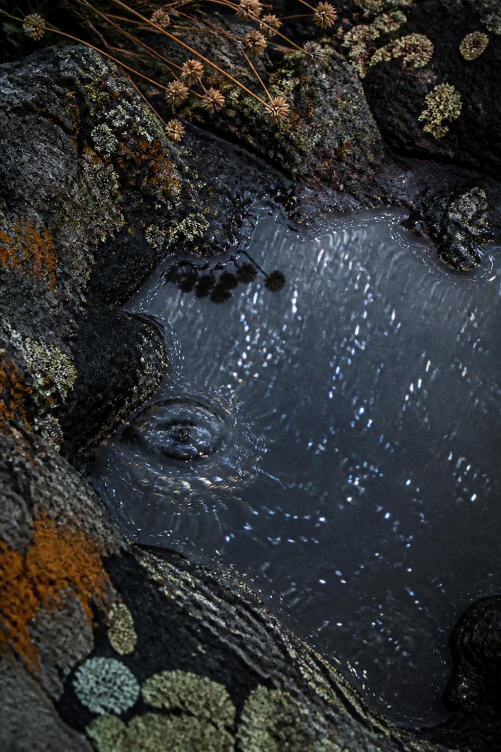 Generated illustration: a close texture of cool-season food and gathering — baskets, roots, steam, worked wood.