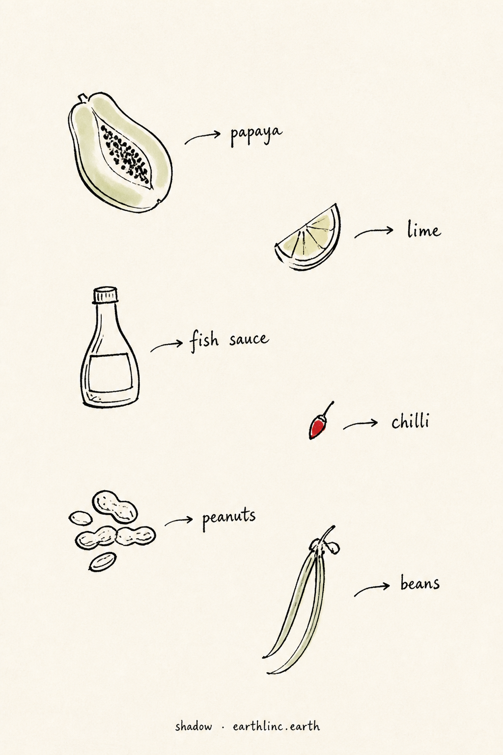 Six small ingredient doodles: papaya, lime, fish sauce, chilli, peanuts, beans — each labeled by hand