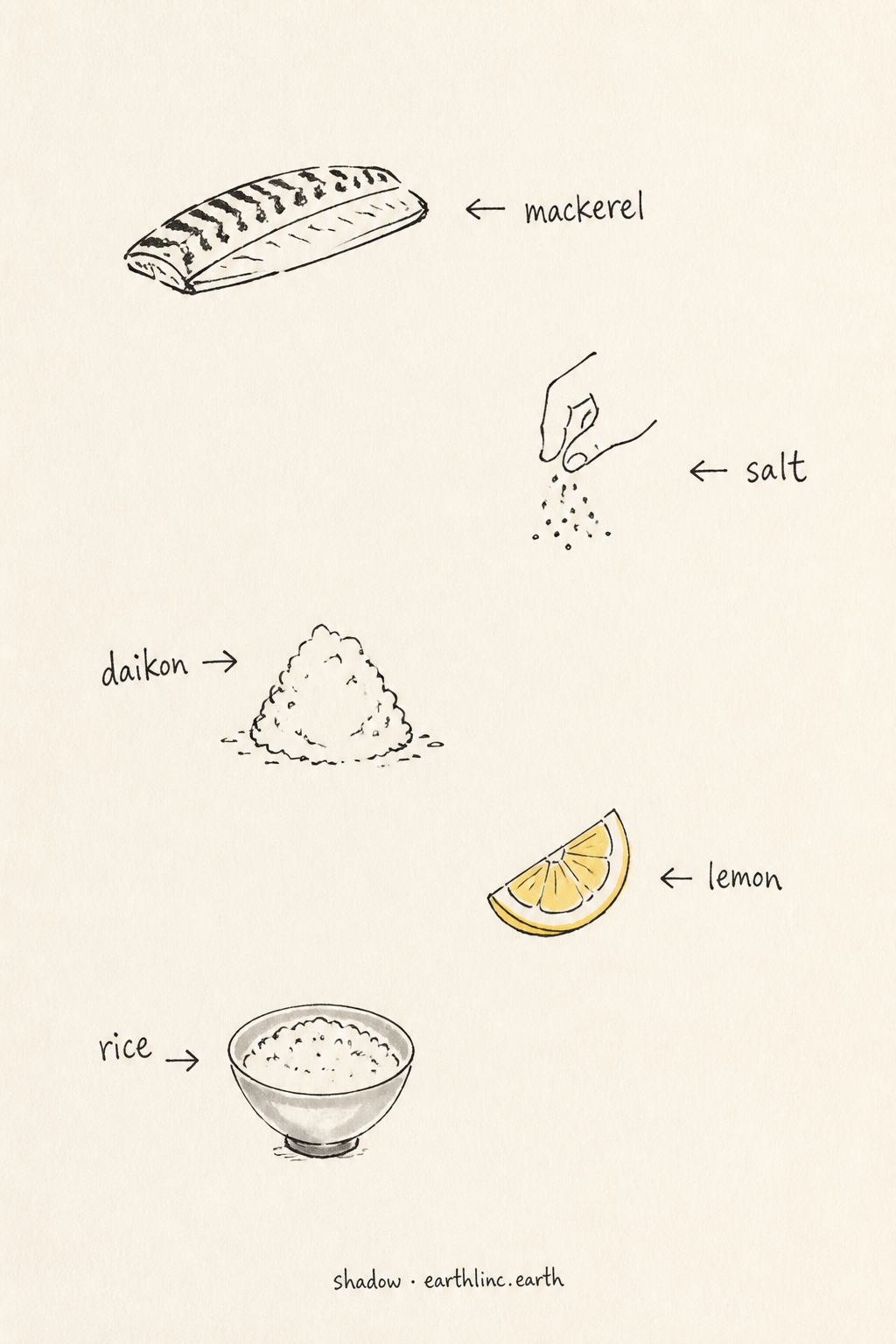 Sketchbook card: five small doodles — mackerel, salt, daikon, lemon, rice — each with a wobbly label and arrow