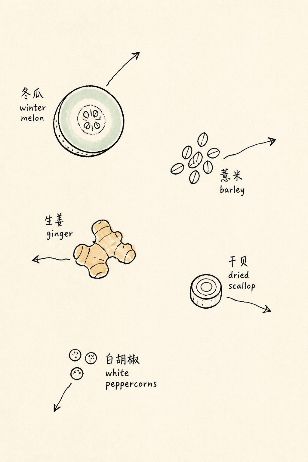 Card three — five doodles: winter melon, barley, ginger, scallop, white pepper