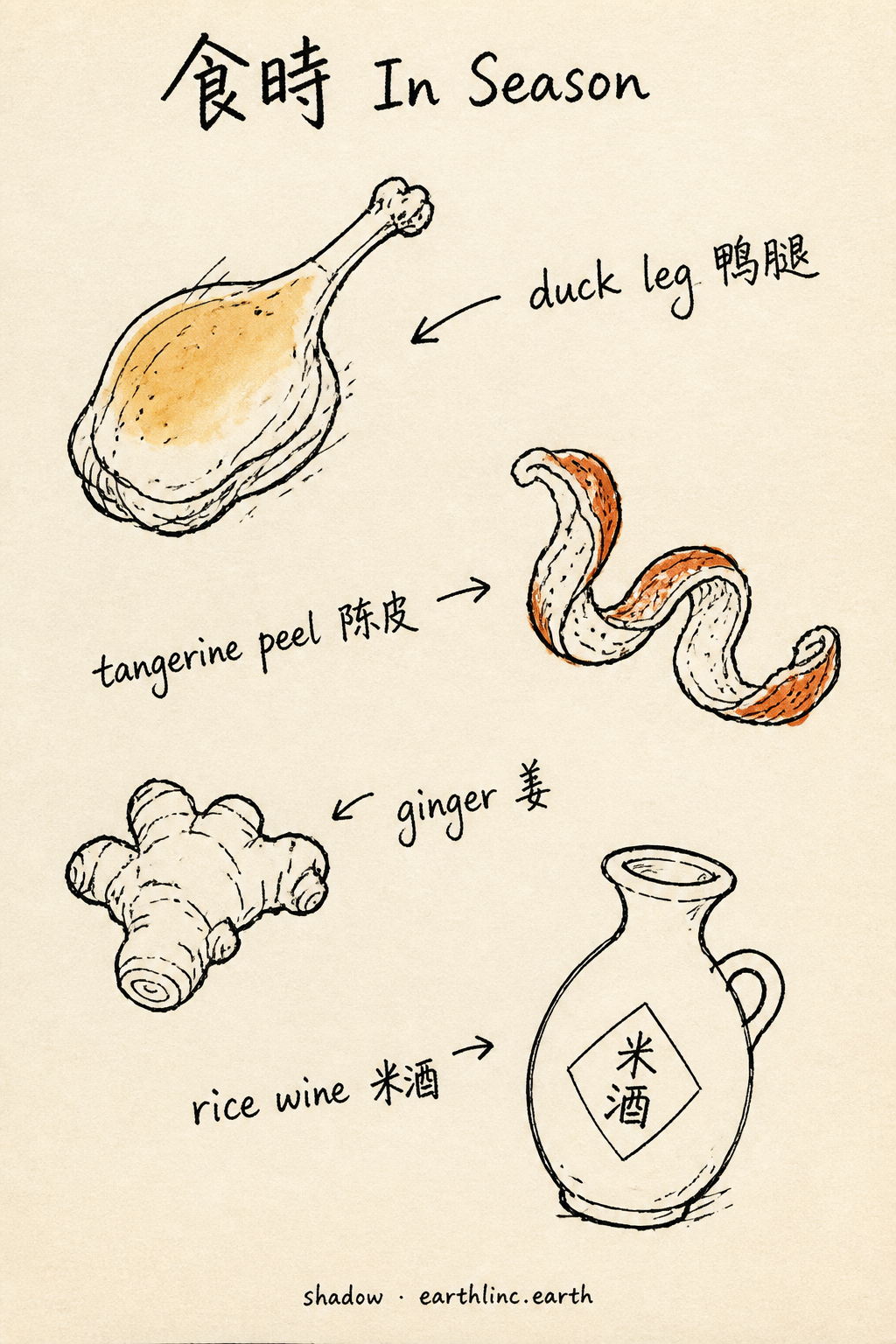 Brush-ink card: four small doodles — duck leg, tangerine peel, ginger, rice wine — with wobbly arrows to their labels.