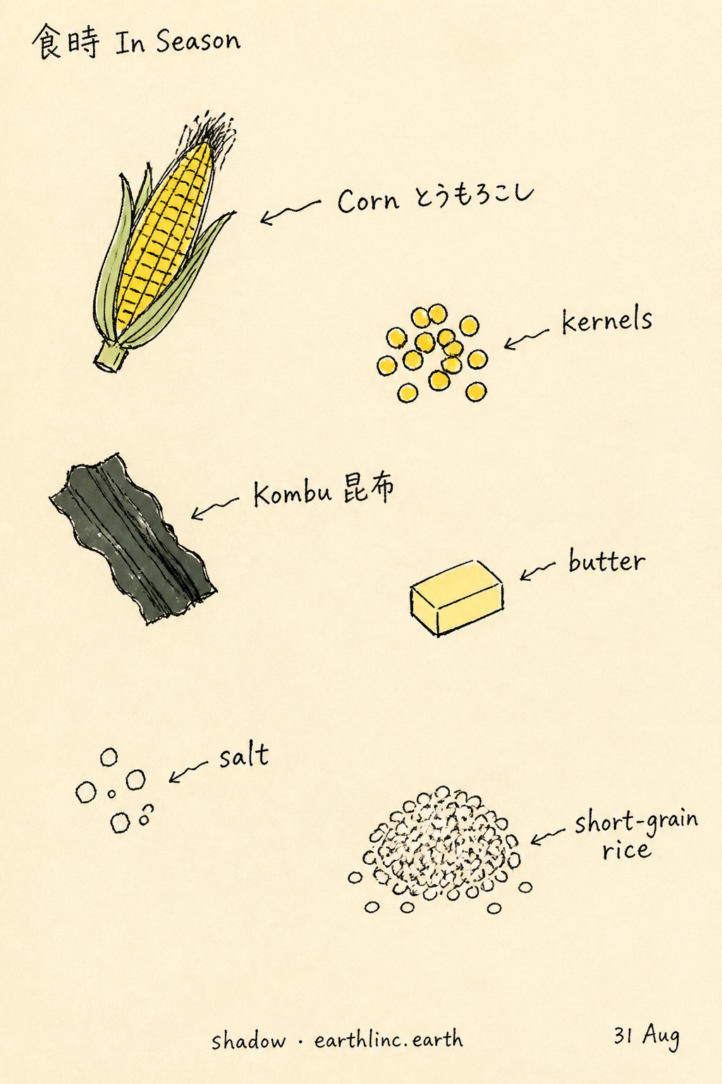 Sketchbook card: six ingredient doodles with wobbly arrows — Corn とうもろこし, kernels, Kombu 昆布, butter, salt, short-grain rice. Masthead 食時 In Season, date 31 Aug, shadow · earthlinc.earth.