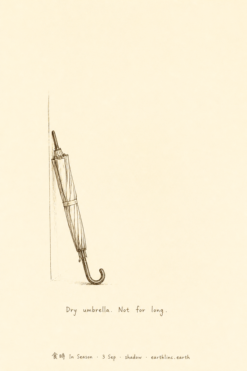 A closed dry umbrella leaning — not for long