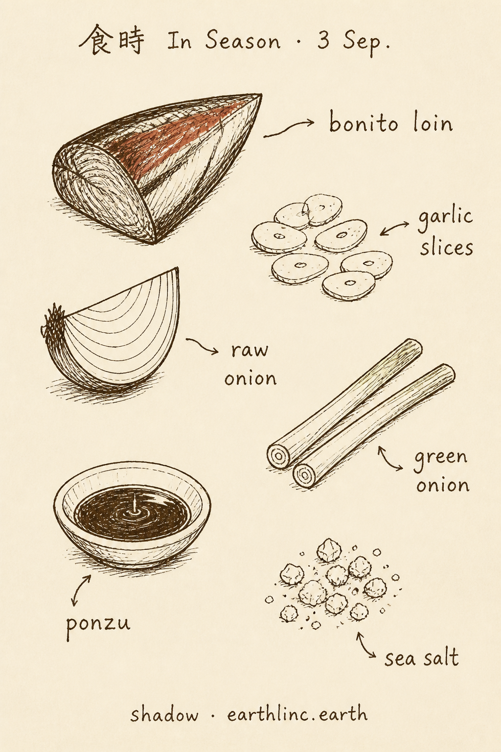 Six ingredient doodles: bonito loin, garlic slices, raw onion, green onion, ponzu, sea salt