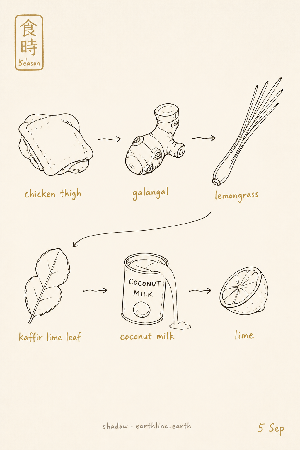 Six ingredient doodles: chicken thigh, galangal, lemongrass, kaffir lime leaf, coconut milk, lime