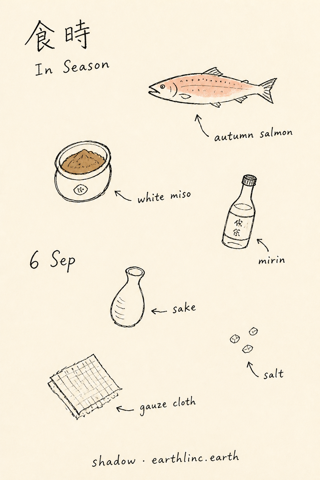 Six loose ingredient doodles — autumn salmon, white miso, mirin, sake, salt, gauze cloth
